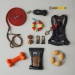 Quel mat�riel d'�ducation canine choisir pour lancer son activit� ?