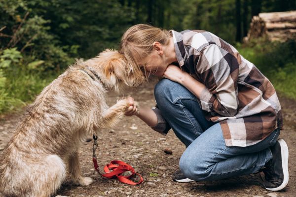 mtier de comportementaliste canin