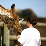 formation au mtier de soigneur animalier 