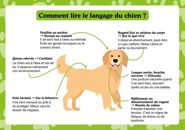 les signaux des animaux