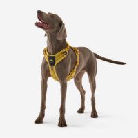 harnais en y decathlon