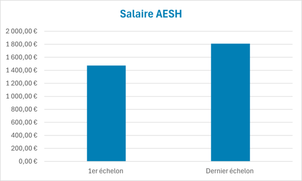 salaire aesh