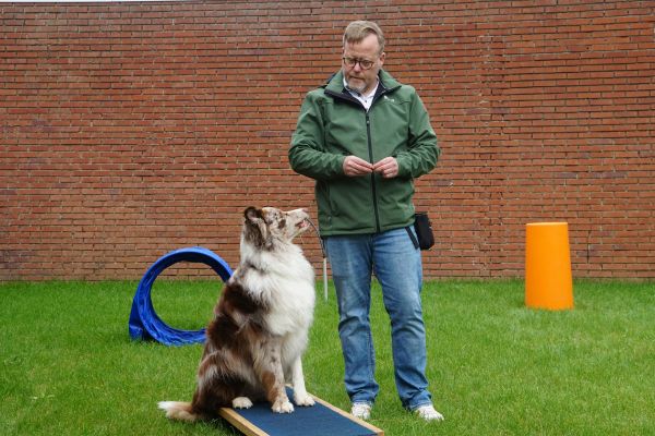 mat�riel pour agility chien