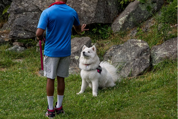 �ducateur canin